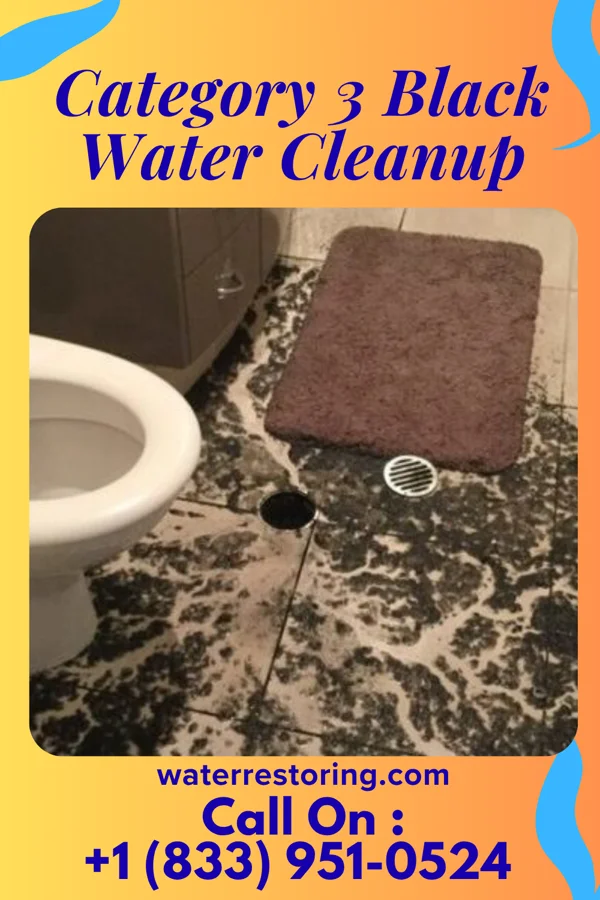 Category 3 Black Water Cleanup in Benton, IA